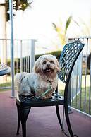 Southern Comfort  On the Sea