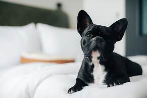 Moxy Osaka Shin Umeda