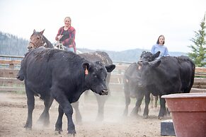 Vista Verde Ranch All-inclusive Cabin