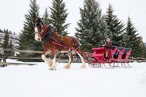 Vista Verde Ranch All-inclusive Cabin