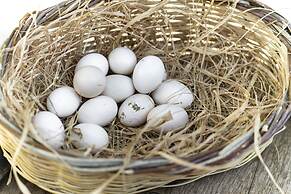 Sunolus Vineyard House