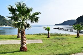 Seatiger Island In Shodoshima