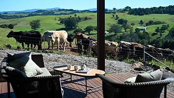 Your Luxury Escape - Carinya Cottages 4