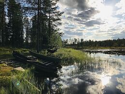 Metsä Kolo