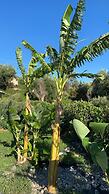 La Maison Corfu - Adults Only