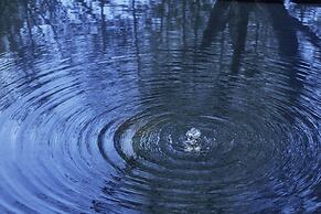 Garrya Nijo Castle Kyoto