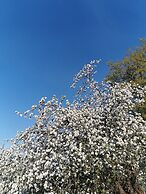 Woferlhof Ferienhof Boxhorn