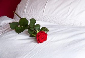 Ferienwohnungen Koller