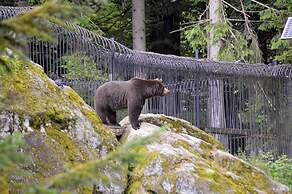 Ferienwohnung Stoiber