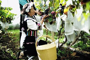 LUX Tea Horse Road Da Ju Village