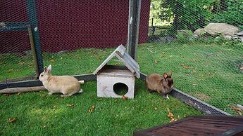Landhaus in der Irlau