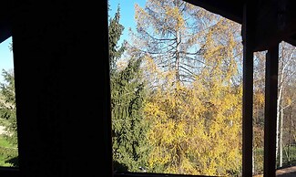 Naturfreundepension Hagenberger für Erwachsene
