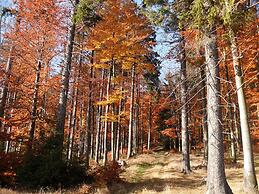 Ferienwohnung Am Apelsberg