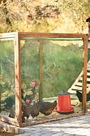 1774 Kazdagi Termal Otel