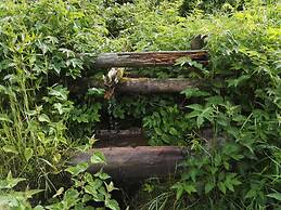 Ferienwohnung Waldblick Winterberg