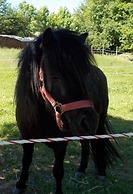 Peter-Anderl-Hof