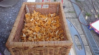 Kaisers Ferienhof