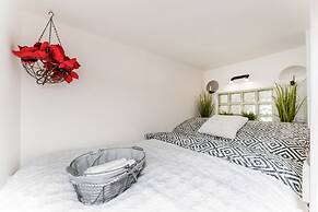 APT in Alb. nad Orlici by Michal&Friends