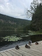 Appartements Pension Hammerschmied