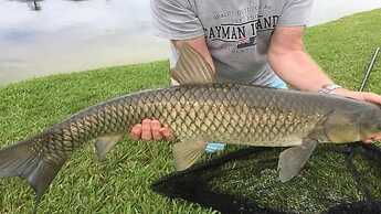 Ref C Luxury 4 Bed Villa on Gated Resort Near Disney