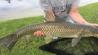 Ref 18 Stunning 4 Bed Villa With own South Facing Pool