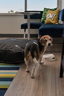 Aloft Houston Shenandoah