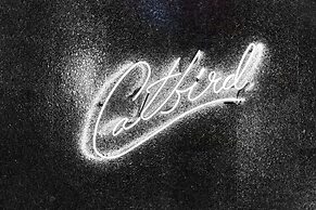 Thompson Dallas, by Hyatt