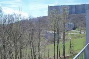 Sugar Ski & Country Club Unit 231 Silver