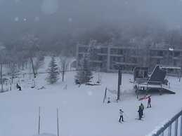 Sugar Ski & Country Club Unit 334 Silver