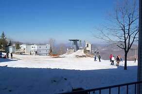 Sugar Ski & Country Club Unit 512 Bronze