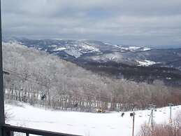 Sugar Ski & Country Club Unit 821 Gold