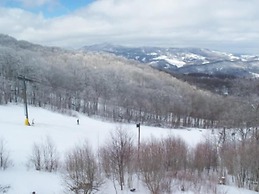 Sugar Ski & Country Club Unit 824 Platinum