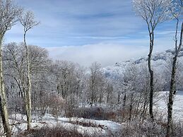 Sugar Ski & Country Club Unit 225 Silver