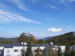 Sugar Ski & Country Club Unit 324 Silver