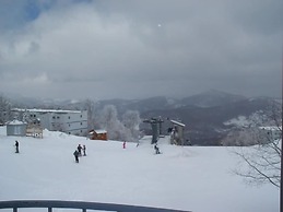 Sugar Ski & Country Club Unit 531 Silver