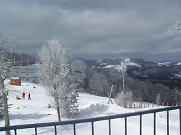 Sugar Ski & Country Club Unit 625 Bronze