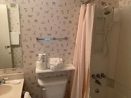 Sugar Ski & Country Club Unit 625 Bronze