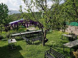 Madpackers Manali - Hostel