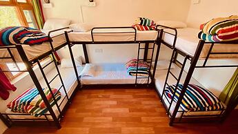Madpackers Manali - Hostel