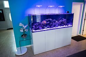 Urban Oasis W/hot Tub, Heated Pool And Private Movie Theater 2 Bedroom