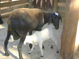 Quedasdagua Lazer e Hospedagem