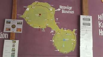Hospedaje Bananas