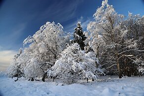 Ferienwohnung Hankeln