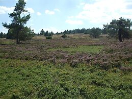 Ferienwohnung Hankeln