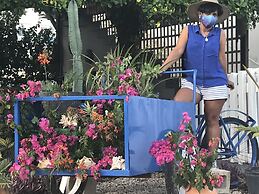 Bayahibe Hotel El Pulpo