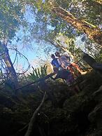 Bayahibe Hotel El Pulpo