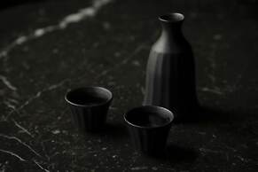 Hotel tou nishinotoin kyoto