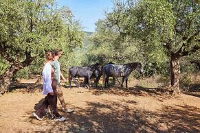 Searocks Exclusive Villas Resort