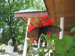 Tatva Bir Tents and Hotel