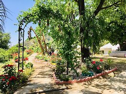 Tatva Bir Tents and Hotel